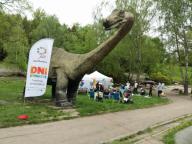 Rzeźba dinozaura w Parku ślaski, obok namiot Dni Otwartych Funduszy Europejskich z zainteresowanymi uczestnikami i flaga promocyjna DOFE.