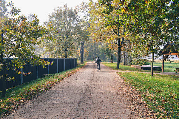 Zdjęcie pokazuje brukowaną, szeroką drogę biegnącą przez park. Widoczny jest na niej rowerzysta w kasku. Po lewej stronie znajduje się płot, po prawej i w tle liczne drzewa i roślinność.