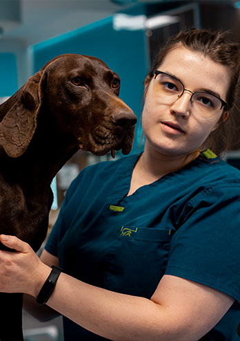Lek. wet. Martyna Loskot – Fotografia przedstawia lekarza weterynarii Martynę Loskot. Młoda weterynarz, w zielonym uniformie z krótkim rękawem i okularach, głaszcze dużego, ciemnobrązowego psa siedzącego obok. Autorką zdjęcia jest Lucyna Nenow.