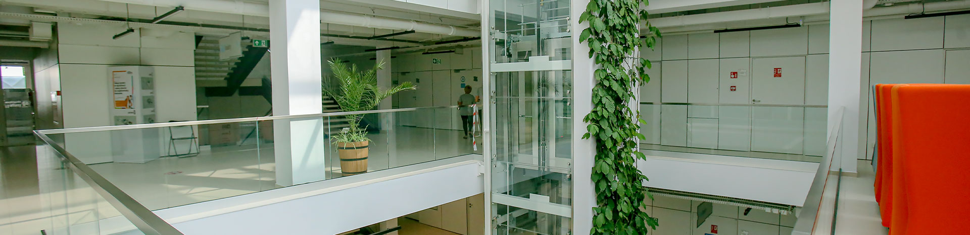 The photograph shows the hall of the Mediateka. In the central part of the picture you can see a glass elevator shaft with an ivy crawling up around it. There is an empty space around the elevator, from which each floor is separated by a glass railing. You can also see the ground floor and two floors. There are a lot of of green plants around. The photo was taken by Maciej Motylewski.