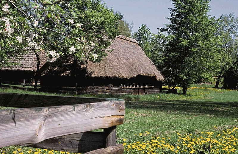 Chata w skansensie etnograficznym w Chorzowie