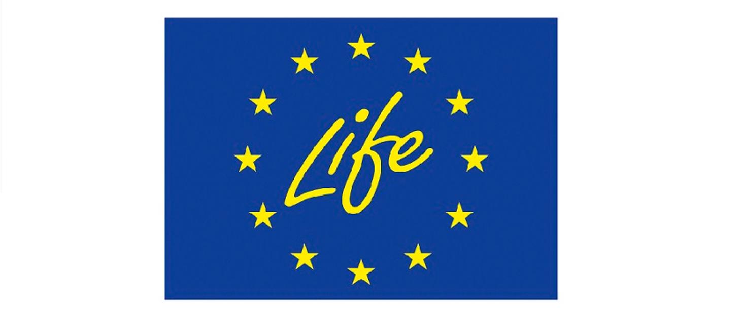 Logo programu life